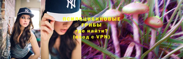ешки Алзамай