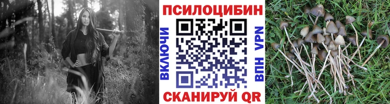 Галлюциногенные грибы Magic Shrooms  Березники 