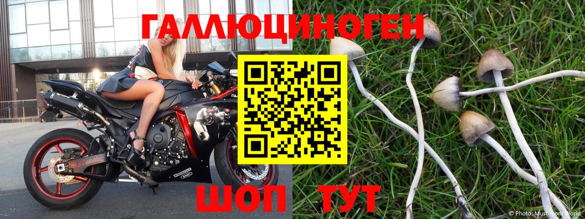 хочу   Псилоцибиновые грибы Psilocybe  Вход с VPN  Березники  Галлюциногенные грибы MAGIC MUSHROOMS 